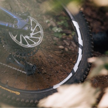 MTB Wheels