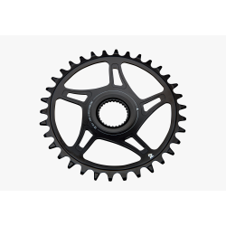 RACEFACE CHAINRING,BG4,DM,55,36T,STL,SHI12,BLK